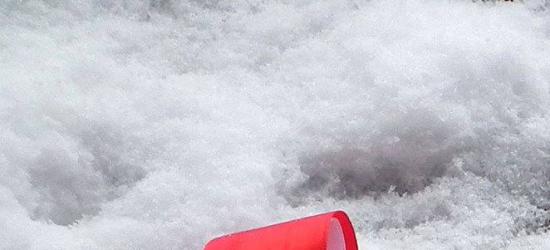 2 kg suszu o czarnorynkowej wartości 60 tys. zł