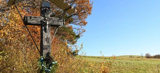 Leśnicy pamiętają o mogiłach. Gałązki pamięci na leśnych cmentarzach (ZDJĘCIA)