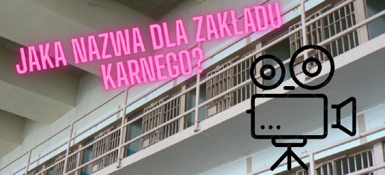 „Wyrzucić Sanok” z nazwy zakładu karnego. „Wronki kojarzą się jednoznacznie”