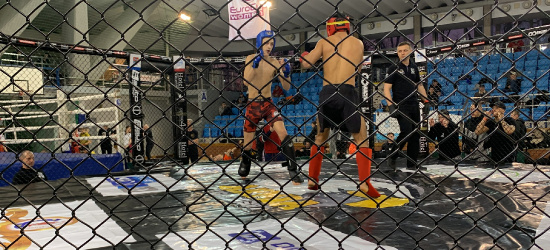 MMA: Samuraj Sanok zwycięża w turnieju Terror Bull Challenge