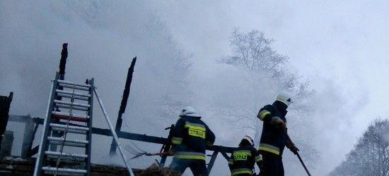 Nielegalny eksodus obywatela Turcji do narzeczonej w Londynie się nie powiódł