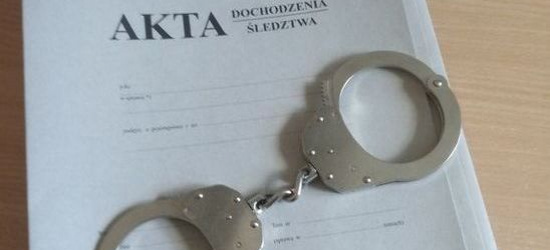 PODKARPACIE: Sprawca uśmiercenia szczeniaków w rękach policjantów