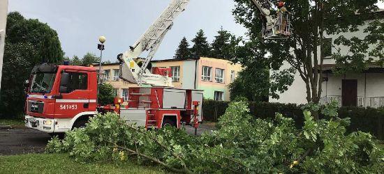 SANOK. Nocna wichura. Połamane konary przy szkole i przedszkolu (VIDEO, ZDJĘCIA)