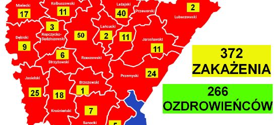 Nowe zakażenie koronawirusem na Podkarpaciu. AKTUALNA MAPA