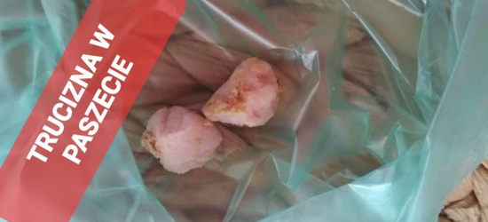 UWAGA! Truciciel psów grasuje w Sanoku (ZDJĘCIE)
