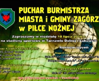 Puchar Burmistrza Miasta i Gminy Zagórz w piłce nożnej