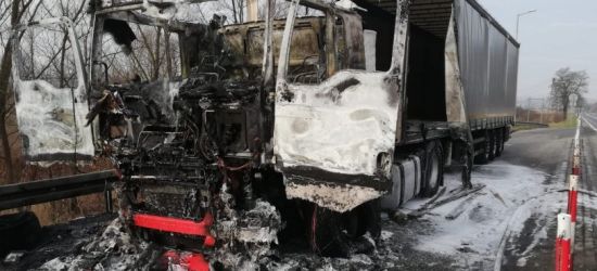 REGION: Tir zaczął się palić podczas jazdy. Spłonął doszczętnie (ZDJĘCIA)