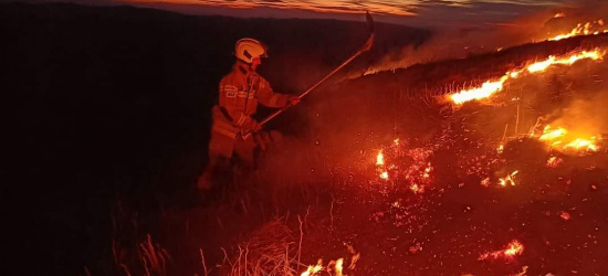 Duże zagrożenie pożarowe w lasach. Wydano Alert RCB