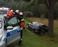 Wjechała do rowu i uderzyła w drzewo (ZDJĘCIA)