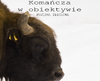 „Komańcza w obiektywie”. Wernisaż na dworcu PKP