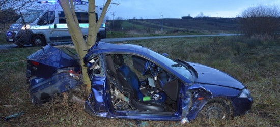 Uderzył w drzewo. Samochód „przecięty” na pół (FOTO)
