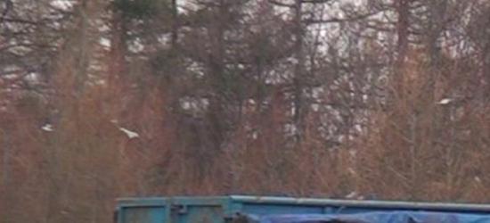W Sanoku opłata 16 zł za śmieci zmieszane, a w Zagórzu 8 zł