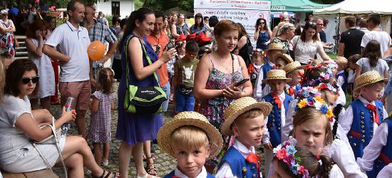WIELKI PIKNIK RODZINNY W SANOKU: Moc atrakcji dla rodzin! (zobacz ZDJĘCIA)