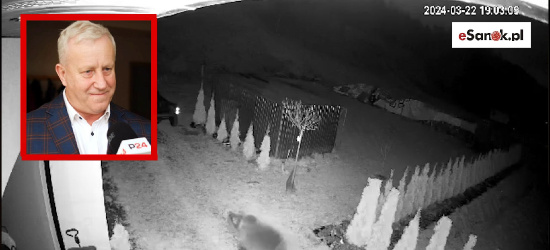W gminie Solina grasuje niedźwiedź! Apel wójta! (VIDEO)