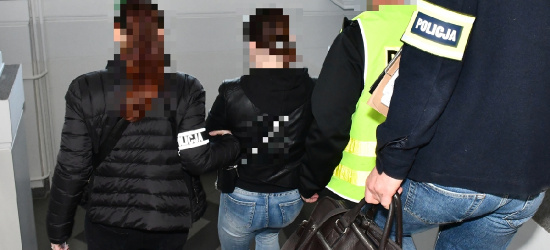 Wyłudzili 3 mln zł i podejmowali kolejne próby (VIDEO, FOTO)