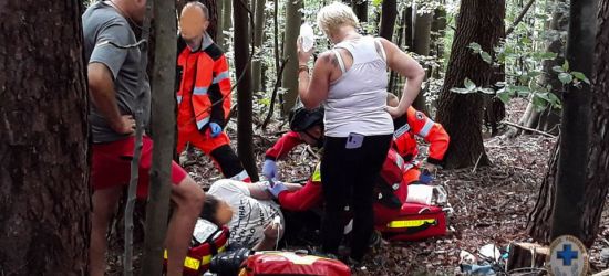 Wypadek przy ścince. Rana cięta i złamanie (FOTO)