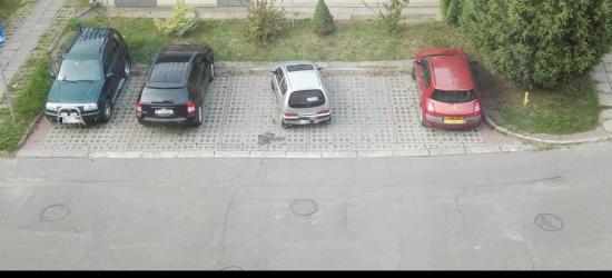 Sanocki Szwejk także kibicuje polskiej reprezentacji! (SONDA, VIDEO HD, ZDJĘCIA)