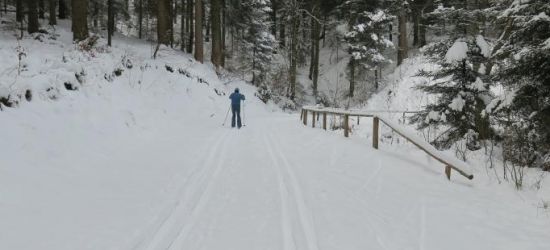 Trasy narciarskie czekają. W planach kilka imprez