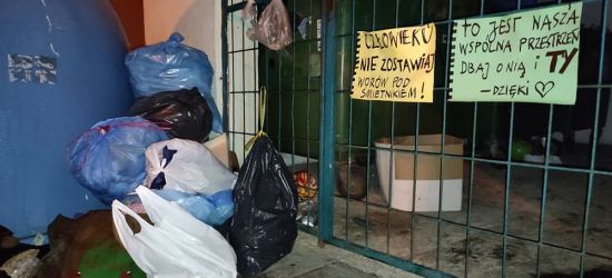 SANOK. Interwencja sąsiedzka. „Człowieku nie zostawiaj worów pod śmietnikiem!” (ZDJĘCIA, ANKIETA)