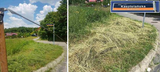 SANOK. Z kosą na wysokie trawy przy skrzyżowaniu (ZDJĘCIA)