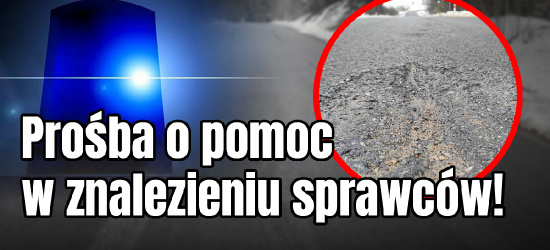 Zniszczona droga. Sprawa trafiła na policję. Szukamy świadków! (ZDJĘCIA)