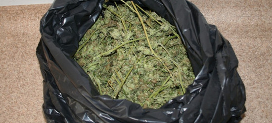 Policjanci zabezpieczyli ponad 7 kg narkotyków (ZDJĘCIA)