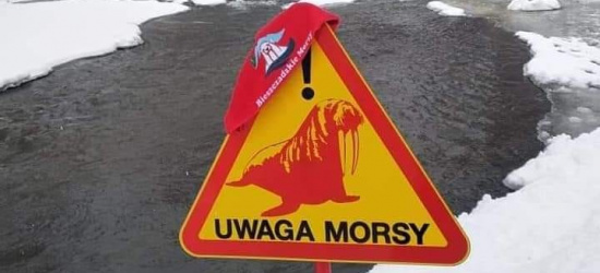 Bieszczadzkie Morsy zapraszają na świąteczne morsowanie! (VIDEO)