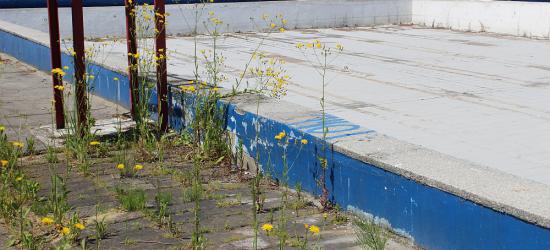 Basen odkryty w Sanoku to ruina! Na remont nie ma co liczyć (ZDJĘCIA)