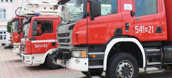 KRONIKA STRAŻACKA: Pożar samochodu, dachowanie i płonące trawy