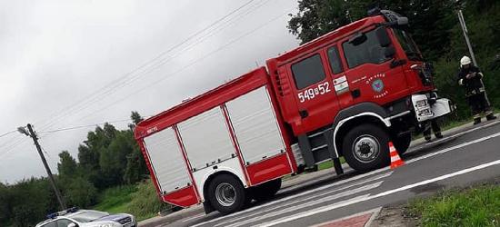 KRONIKA STRAŻACKA: Zderzyły się osobówki, ucierpiało dziecko. Niebezpieczne owady