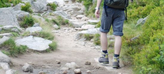 Kamień nad Rzepedzią – tam gdzie szumią stare buki…