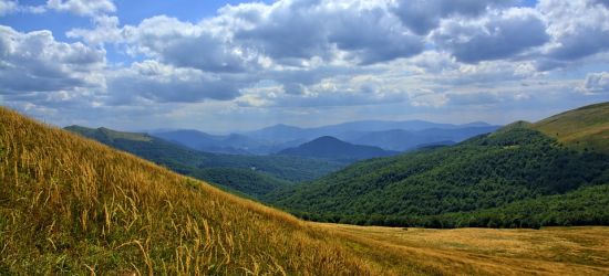 Pod wieloma względami to cenny region (VIDEO)