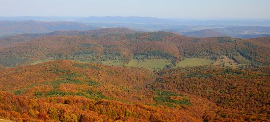 BIESZCZADY: Takie obrazki zapierają dech w piersiach! 😍
