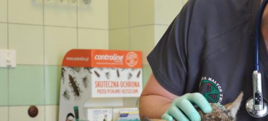 RZESZÓW24.PL: Trynkiewicz wrócił do więzienia. Jutro wyjdzie na wolność