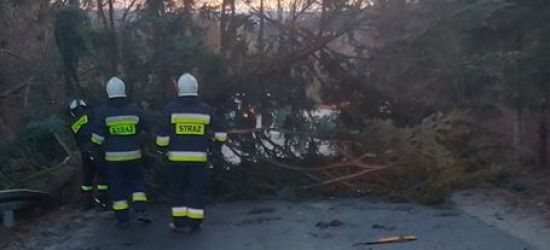POWIAT SANOCKI: Pozrywane dachy, powalone drzewa. 30 interwencji strażaków (ZDJĘCIA)