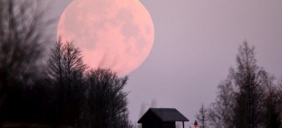 Najjaśniejsza pełnia tego roku. Księżyc różowy! (ZDJĘCIA)