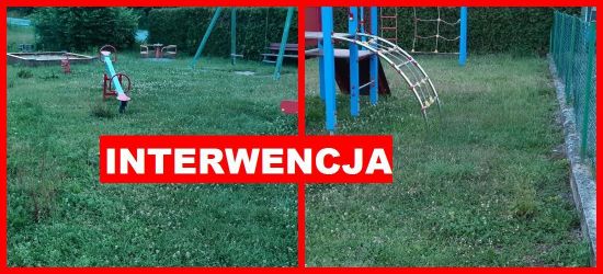 PORAŻ: Zarośnięty plac zabaw? Sygnał Internauty (ZDJĘCIA)