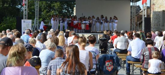 Ze względu na epidemię, Powiat Sanocki odwołuje imprezę patriotyczną na Zamku