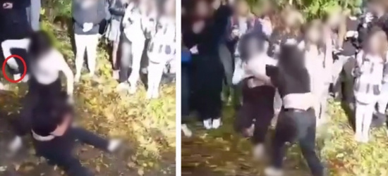 Bójka nastolatek. Zatrzymanej 17-latce grożą dwa lata więzienia! Co grozi gapiom? (NOWE INFORMACJE)