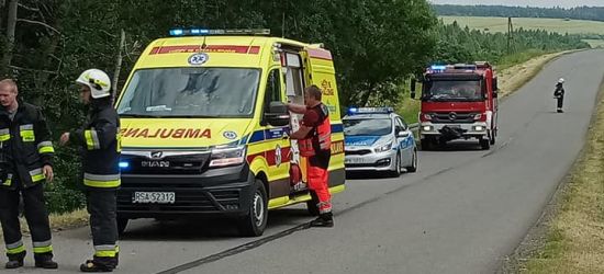 KOMAŃCZA: W motocyklistę wbiegła sarna (FOTO)