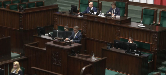 Wilki i niedźwiedzie pod lupą Sejmu. Poseł Uruski: „Czas na zdecydowane działania” (VIDEO)