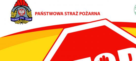 Udana submisja. Za 1 m3 jaworowej kłody uzyskano ponad 23 tys. złotych