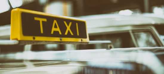 Pobili taksówkarza, bo ten nie chciał przewieźć psa
