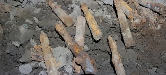 REGION: Znalazł w ziemi 13 sztuk pocisków