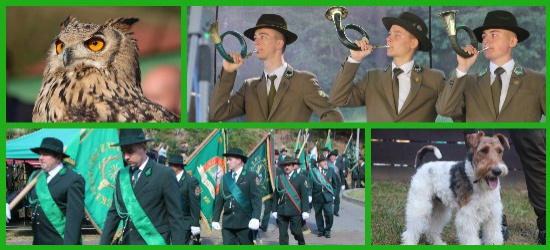 RYKOWISKO: Naśladowanie głosu jelenia, pokazy sokolnicze oraz psów myśliwskich, smaczne dary lasu! (VIDEO, FOTO)