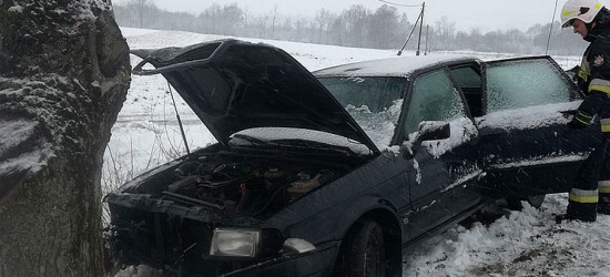 Osobówką zjechała do rowu i uderzyła w drzewo (FOTO)