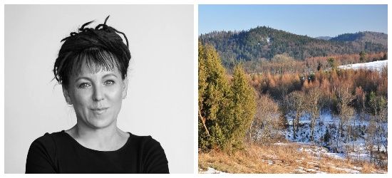 Olga Tokarczuk apeluje do Lasów Państwowych o zatrzymanie wycinki w Bieszczadach