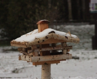 BIESZCZADY24.PL: Dokarmiajmy rozsądnie! (ZDJĘCIA)