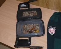 Bursztynowa recydywa