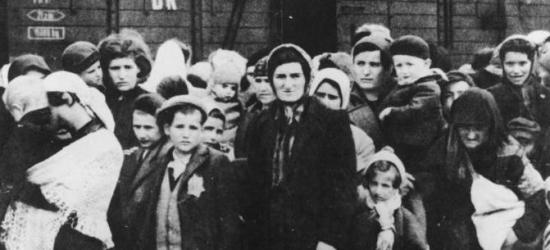 18-latek kierując fiatem wypadł z drogi. Prawo jazdy ma niespełna 4 miesiące (ZDJĘCIA)